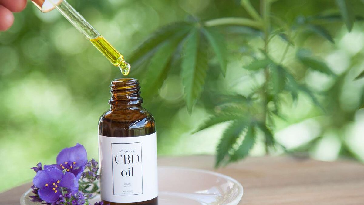 What Can CBD Do for Your Diet Plan?