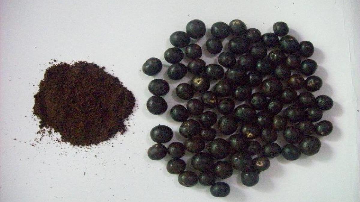 Why Acai Berry powder is the best way to consume the fruit?