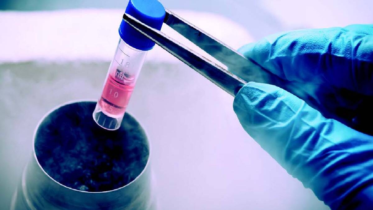 Stem Cells: What you need to know